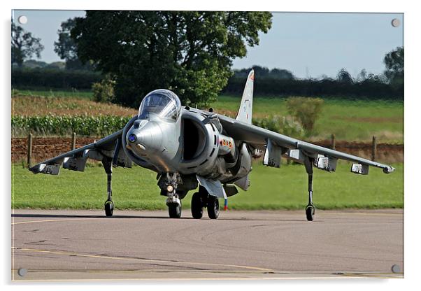 RAF Harrier taxying Acrylic by Rachel & Martin Pics