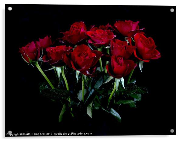 Red Roses Acrylic by Keith Campbell