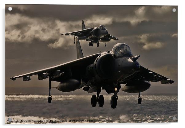 Harrier pair Acrylic by Keith Campbell