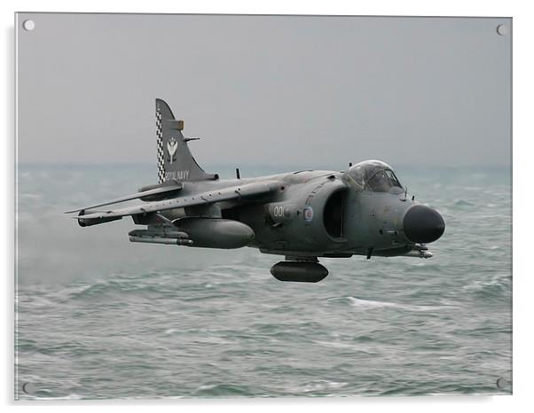 Sea Harrier - low and fast! Acrylic by Keith Campbell