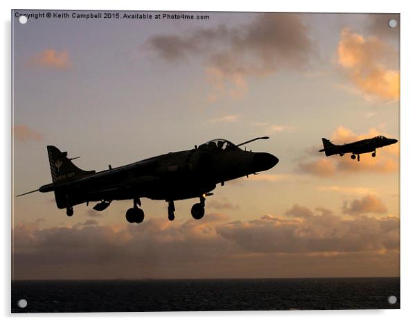 Sea Harriers Hovering  Acrylic by Keith Campbell
