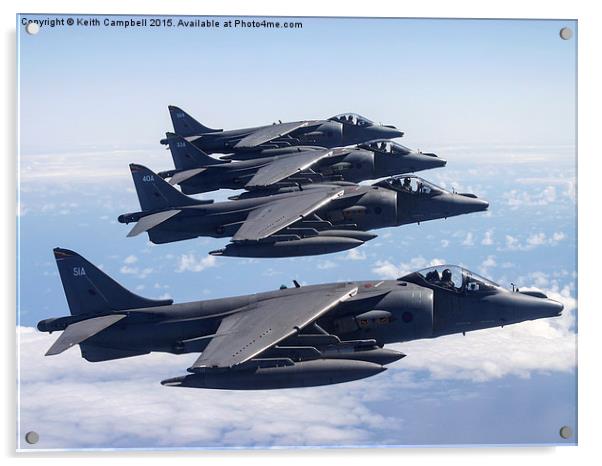 Harrier formation Acrylic by Keith Campbell