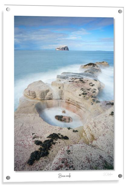 Bass rock, Scottish, Scotland, Highlands, sea, shore. coast Acrylic by JC studios LRPS ARPS