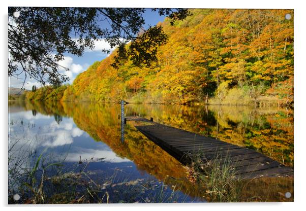 Loch Ard in Autumn Acrylic by JC studios LRPS ARPS