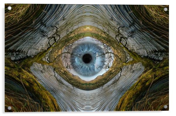 The all seeing eye of nature.. Acrylic by JC studios LRPS ARPS