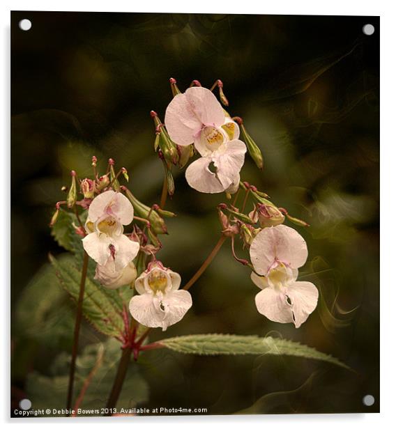 Jewelweed/Himalayan balsam Acrylic by Lady Debra Bowers L.R.P.S