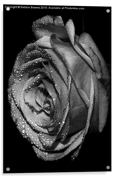  B&W Rose with drops  Acrylic by Lady Debra Bowers L.R.P.S