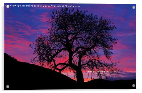 Frandy Tree at Sunrise  Acrylic by Lady Debra Bowers L.R.P.S