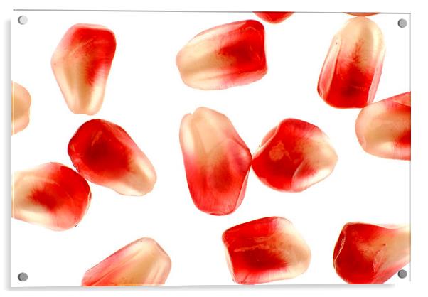  Pomegranate seeds Acrylic by Augis Skackauskas