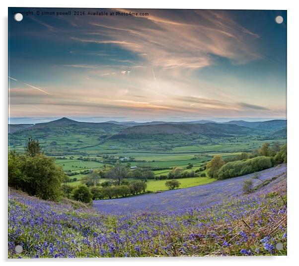 Bluebells skirrid hill Brecon Beacons 8597 Acrylic by simon powell