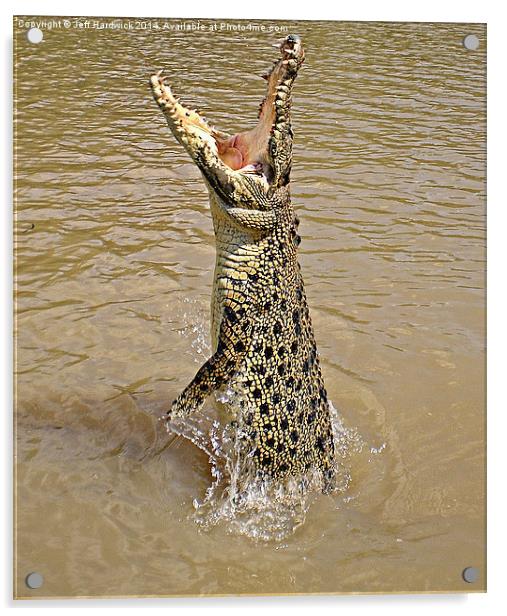 Queensland Wild Crocodile. Acrylic by Jeff Hardwick