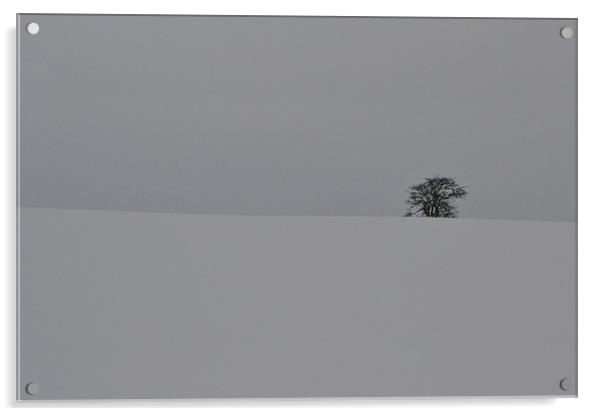 Winter Tree Acrylic by David Mole