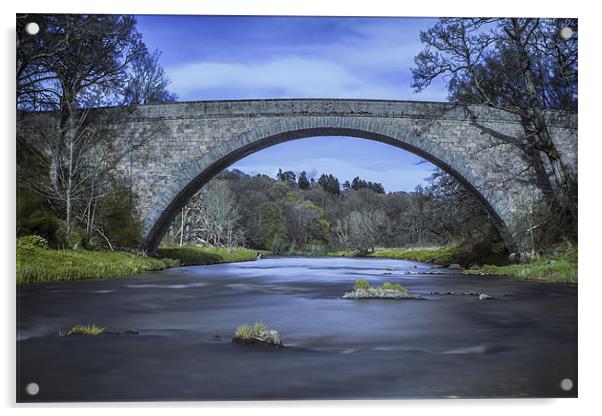Don Bridge Acrylic by Douglas McMann