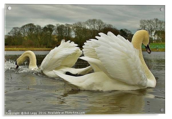               Angel Wings                  Acrylic by Bob Legg