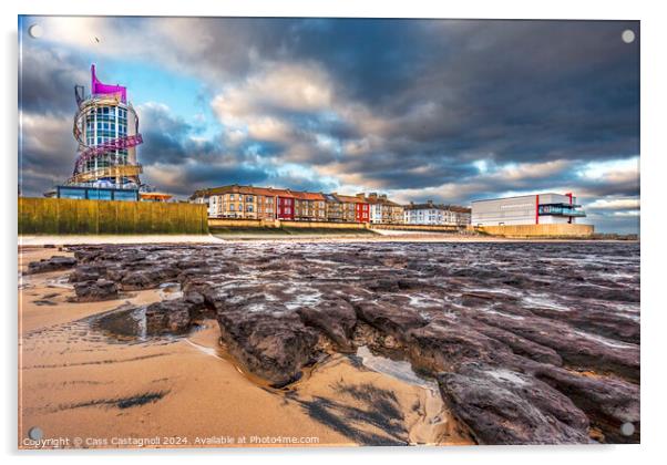 Petrified Forest - Redcar Acrylic by Cass Castagnoli