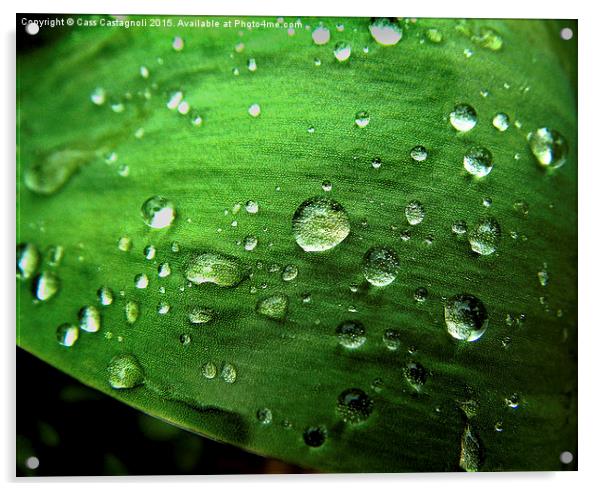 Leaf with Raindrops Acrylic by Cass Castagnoli