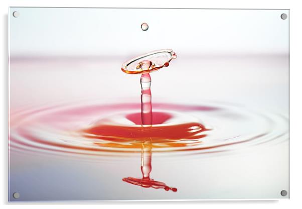 Fluid Art droplet splash Acrylic by Terry Pearce