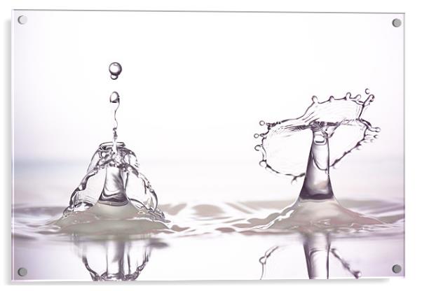 fluid Art droplet splash Acrylic by Terry Pearce