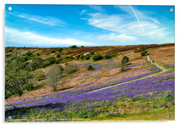 Bluebell Path Isle Of Wight Acrylic by Wight Landscapes