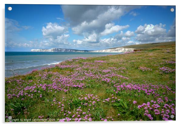 Compton Bay Sea Thrift Acrylic by Wight Landscapes
