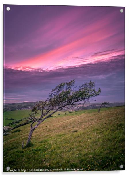 The Tree Acrylic by Wight Landscapes