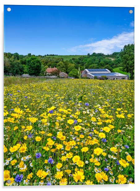 Wild Flower Meadow Acrylic by Wight Landscapes