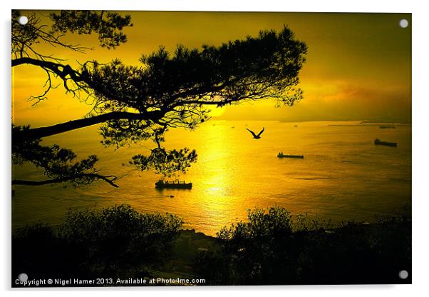 Golden Sunset Gibraltar Acrylic by Wight Landscapes