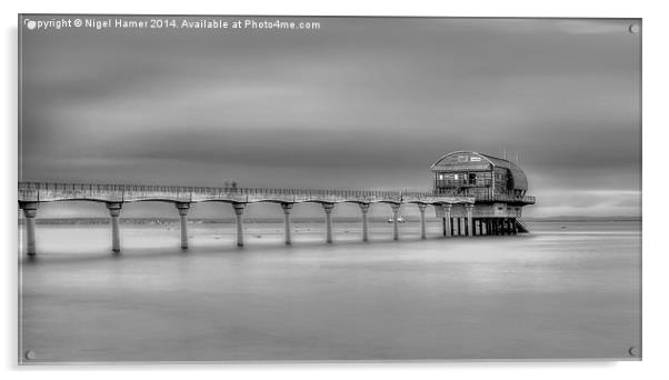 Bembridge Lifeboat Station Acrylic by Wight Landscapes
