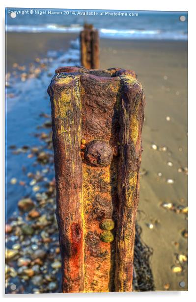 Barnacle Bill Acrylic by Wight Landscapes
