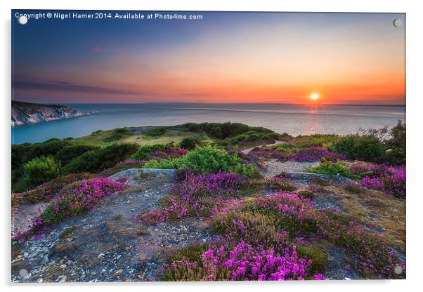 Headon Warren Sunset Acrylic by Wight Landscapes