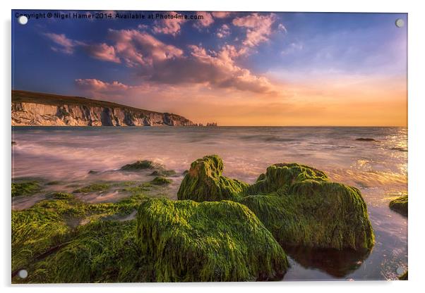 Alum Bay and The Needles #2 Acrylic by Wight Landscapes