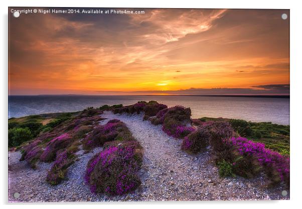  Sunset Path Acrylic by Wight Landscapes