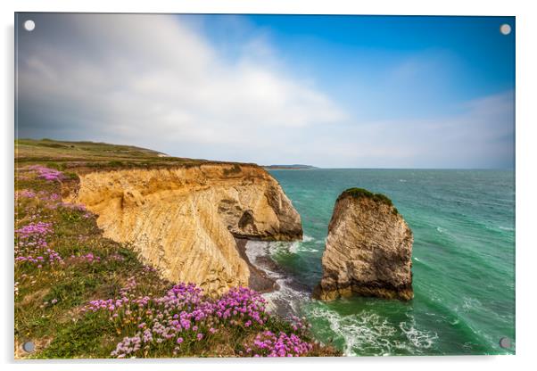 Freshwater Sea Thrift Acrylic by Wight Landscapes