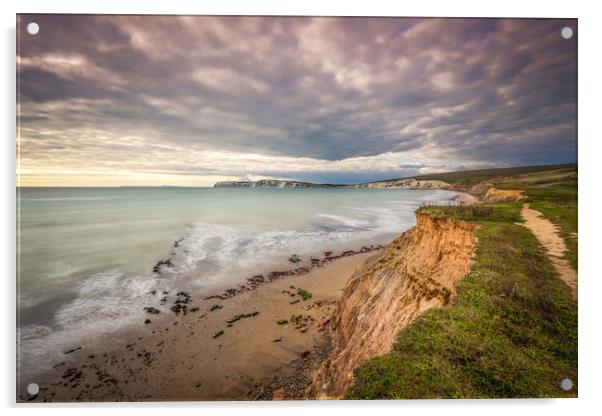 Coastal Path Acrylic by Wight Landscapes