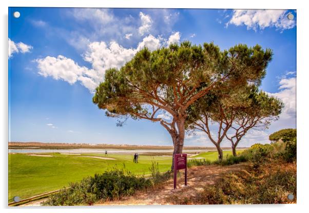 Algarve Golf Acrylic by Wight Landscapes