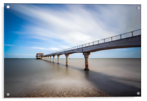 Bembridge Lifeboat Station LE Acrylic by Wight Landscapes