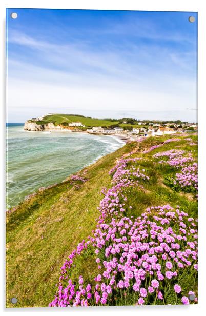 Freshwater Bay Cliff Armeria Maritima Acrylic by Wight Landscapes