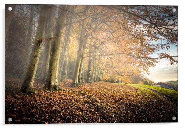 Autumn Mists Acrylic by Wight Landscapes