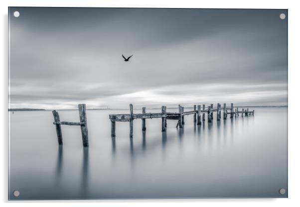 The Jetty BW Acrylic by Wight Landscapes