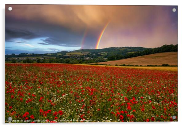 Rainbow Poppies Acrylic by Wight Landscapes