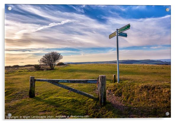 Ventnor Down Isle Of Wight Acrylic by Wight Landscapes