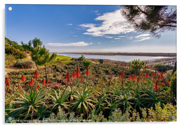 Quinta do Lago The Red Hot Pokers Acrylic by Wight Landscapes