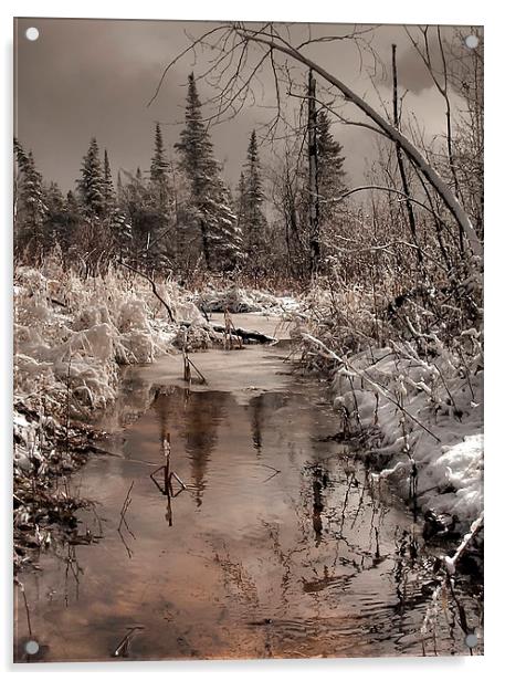 Spring Morning Acrylic by heather rivet