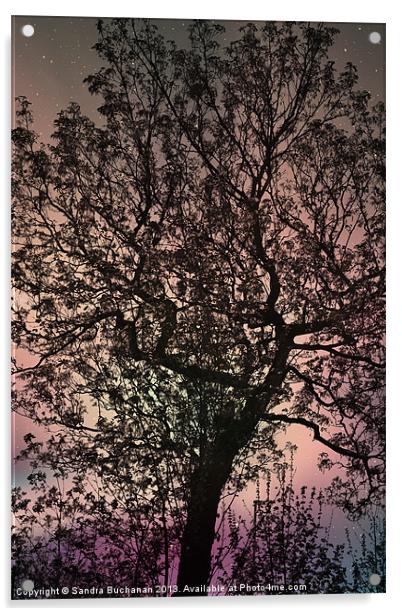 Mystical Tree Acrylic by Sandra Buchanan