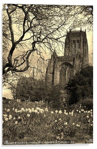 Liverpool Anglican Cathedral Sepia Acrylic by Sandra Buchanan