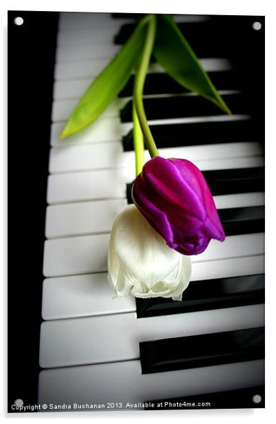 2 Tulips On Piano Keys Acrylic by Sandra Buchanan