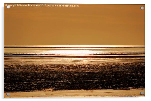  Sunset Shimmer Acrylic by Sandra Buchanan