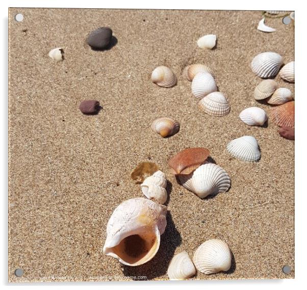 Shells on beach Acrylic by HELEN PARKER