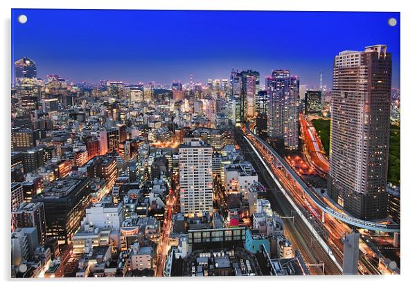 Mega City of Tokyo Acrylic by Duane Walker