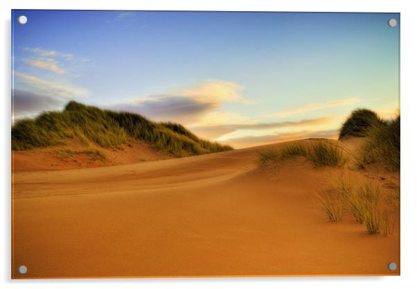 Beach Dunes Acrylic by Don Alexander Lumsden